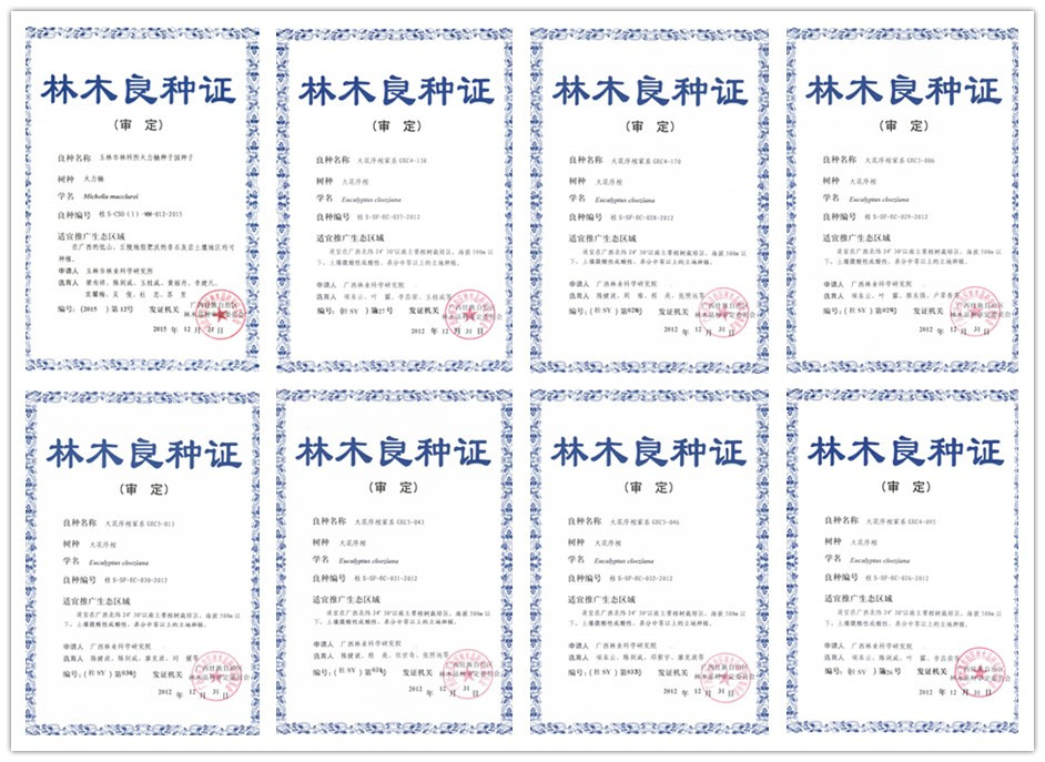 良种证.jpg