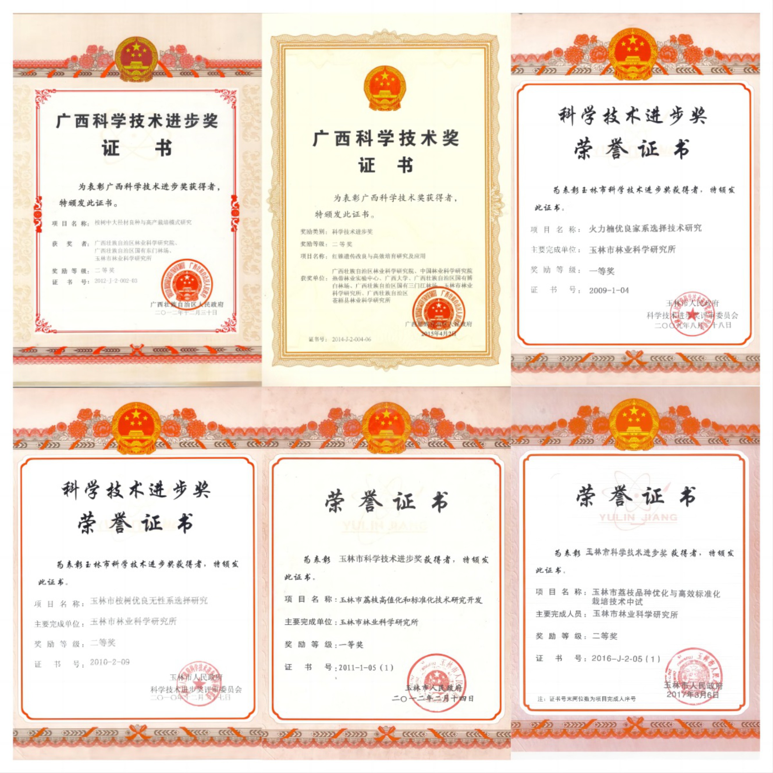 荣誉证书1.JPG