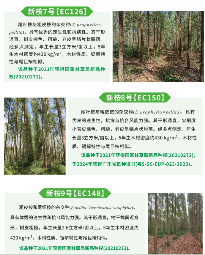 42e68eb0a33ed9e3297e7a904b6fd49.png